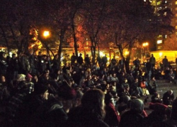 Diane Emerson: Why I Occupy