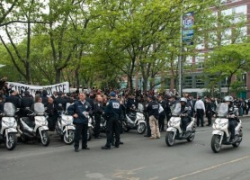 Wildcat March and Late Night Arrests