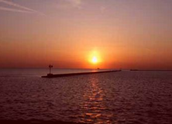 Day 2 on the 99Solidarity Bus Trip