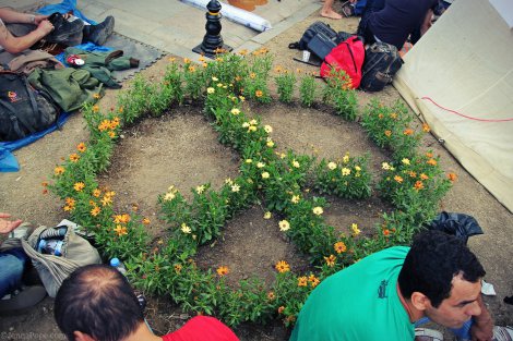 Flowers planted into a peace sign at the location in Gezi Park where the first few trees were cut down before the occupation and resistance in the park forced construction to end.